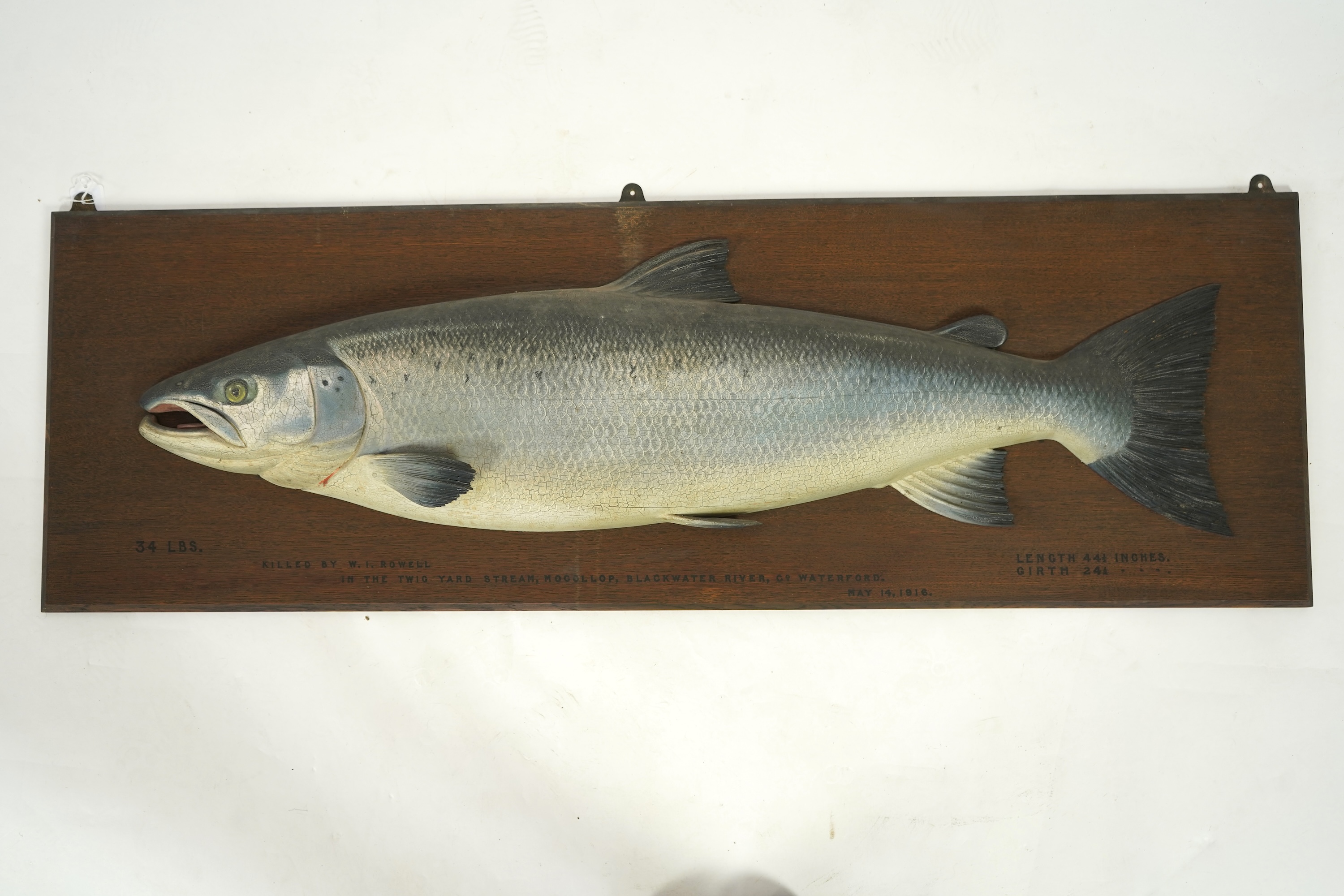 Attributed to John and Dhuie Tully of Fochabers: A painted half block model of an Atlantic Salmon, dated 1916
